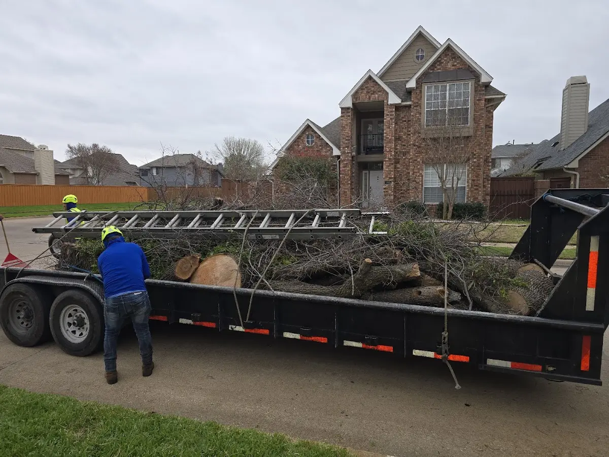 Expert Tree Fertilization with proper safety equipment in Morse